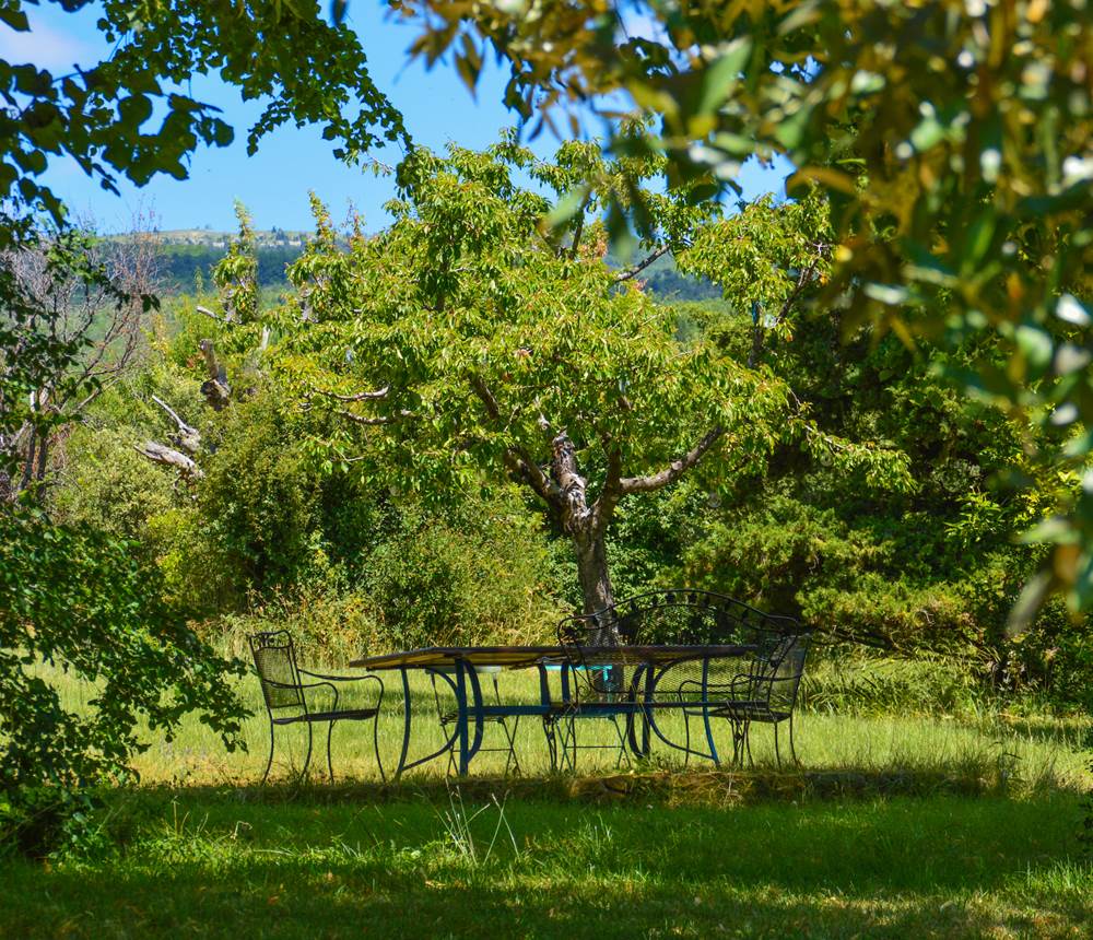 Votre table de de´jeuner sous les tilleuls a` la Bastide du Claus